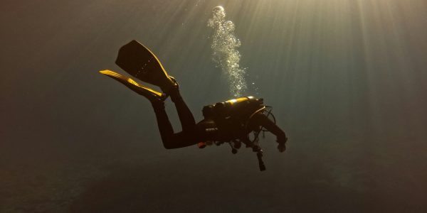 leo-talabardon-ltnFBKptKWs-unsplash (1)